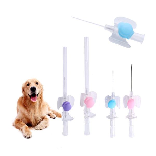Small Winged IV Cannula with Heparin Lock | Flexible, Safe, and Designed for Small Animal IV Use