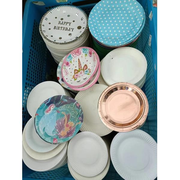Eco-friendly Disposable Tableware for Birthday Party Food and Cake Plate Lunch Plate