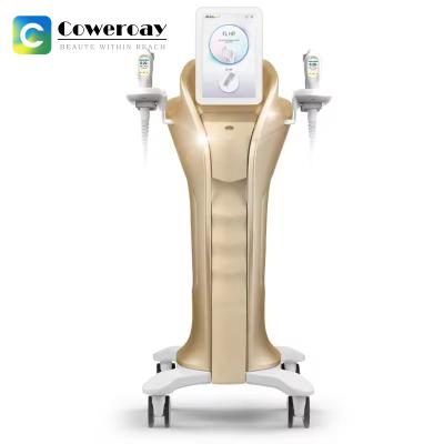 Multifunctional Mini HIFU Ultrasonic Machine Anti Aging Skin Tightening HIFU Machine
