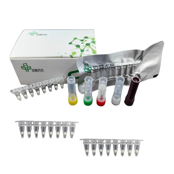 Vibrio Vulnificus Fluorescence Pathogen Detection Kit EXO With Isothermal Detector