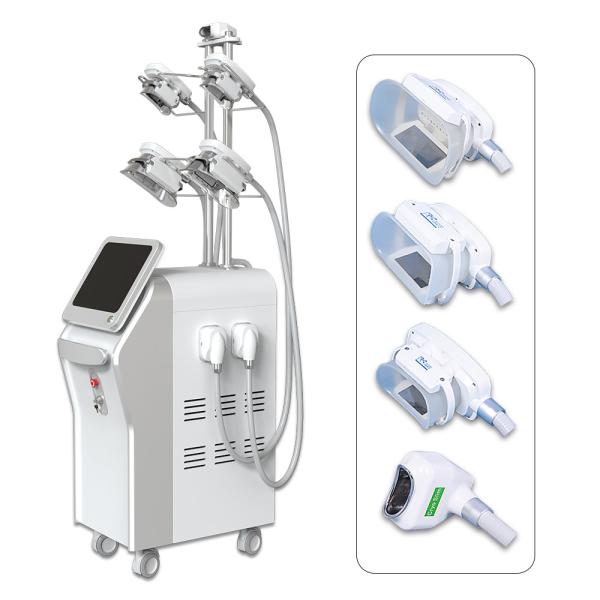 Cryolipolysis Fat Freeze Slimming Machine Vertical Type For Body / Chin