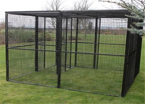 Customized  Bird Aviary /Parrot Aviary Customized Own Size