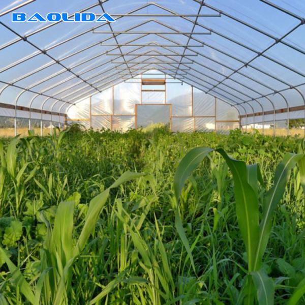 Único túnel do período que cresce a estufa mestra agrícola do filme plástico de Sun