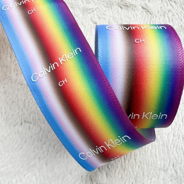 Ириденциальный ремень Печатный силиконовый логотип юбка ленточная аксессуары