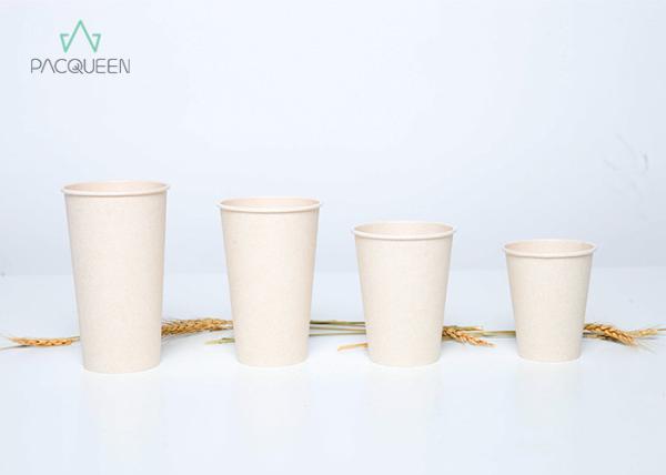 Custom Colored Compostable Paper Cups Future Friendly PLA Natural Bagasse Paper