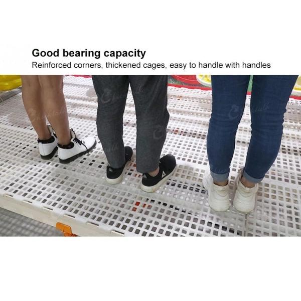 Настил фермы козы цыпленка 20X26mm пластиковый Slatted