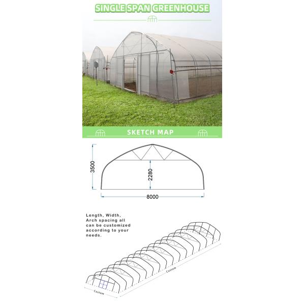 BAOLIDA Single-Span Greenhouse 6-10m Width 150/200micro PE Film Cover