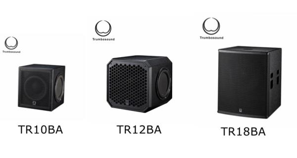 Active subwoofer box 10  bass loudspeaker with amplifier indoor pro sound loudspeaker TR10BA