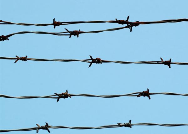 Galvanised Garden Security Barbed Wire 25M Length 1.7mm Wire Diameter