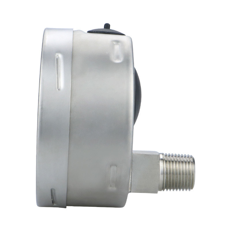 Field Stainless Steel Pressure Gauge for Low Pressure 1-600bar 100mm Made in Zhejiang