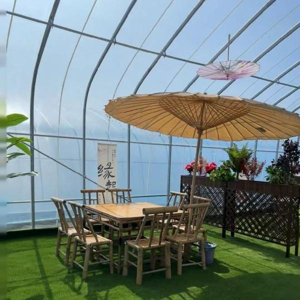 Paquet Poids brut 100.000 kg Lumière solaire Serre à goutte à goutte pour la plantation de fleurs