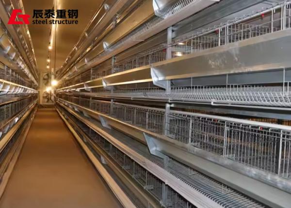 Modern Prefab Agricultural Buildings Steel Structure Broiler Layer