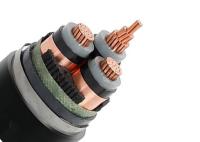 3.6/6 quilovolts XLPE Insulated selecionaram cabo blindado, cabo distribuidor de corrente de cobre do milivolt do condutor
