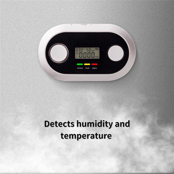 10 Years Wi-Fi Smart Carbon Monoxide Detector-CO1 Detector(A-835W)