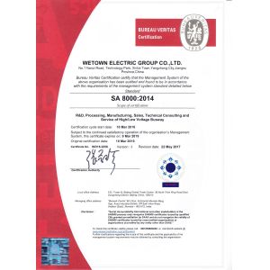 Wetown Electric Group Co.,Ltd. Сертификации