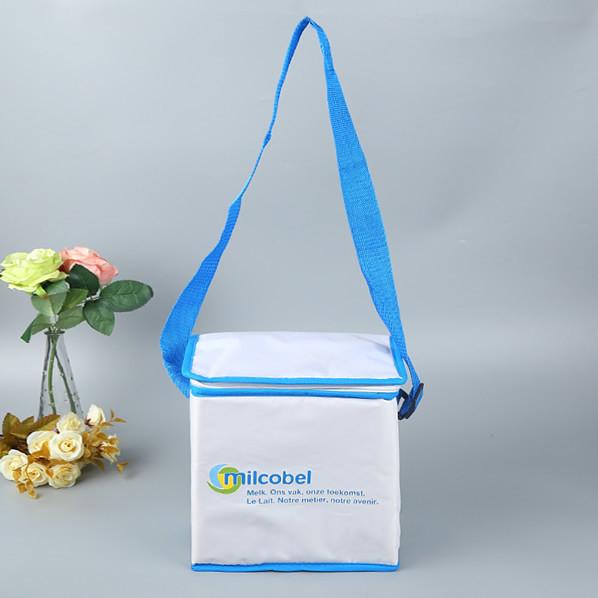 Custom Imprint Bag Grocery Lunch Tote Cooler  Thermal Lunch Cooler Bag, Custom size, weight, design