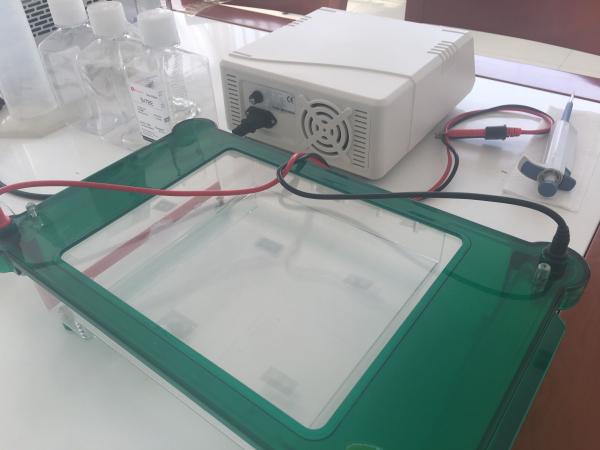 Multipurpose Agarose Gel Electrophoresis Equipment ~1800ml Buffer Volume Jy-spgt
