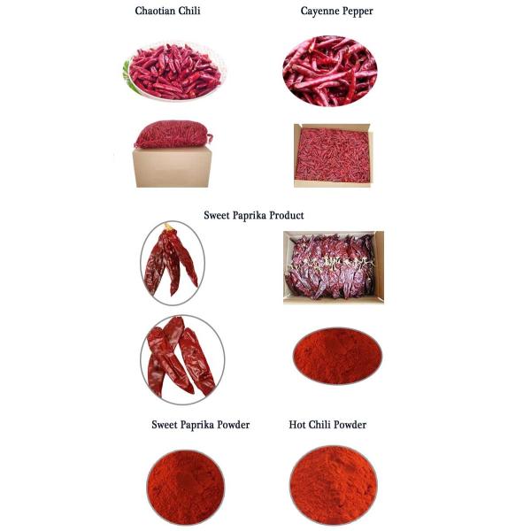 Powder Shape Hotness Dried Chilli , Natural Spices For Cooking 160 - 210 ASTA