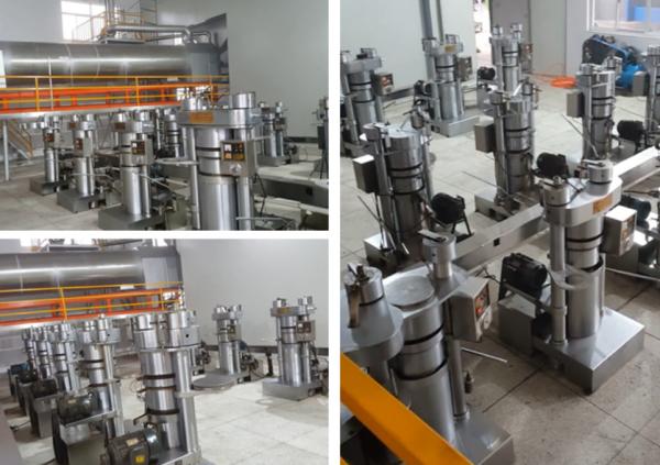 Huile d'amandes hydraulique faisant le système de protection de sécurité de machine de pression d'huile de machine