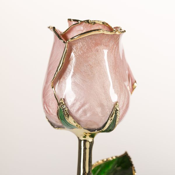 24k Gold Plated Rose Fresh Rose with Stem Present  Rose Gift Valentine Mother Day Eternal Rose Preserved Flower