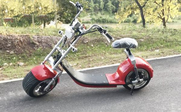 EcoRider 1000W 60V 10ah Big solid tire Two Wheel Electric Motorcycle Scooter Citycoco With front lamp and speedmeter