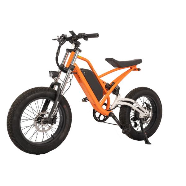 750W Off-Road Electric Fat Tire Bike with 48V 13Ah Lithium Battery and 180kg Load Capacity