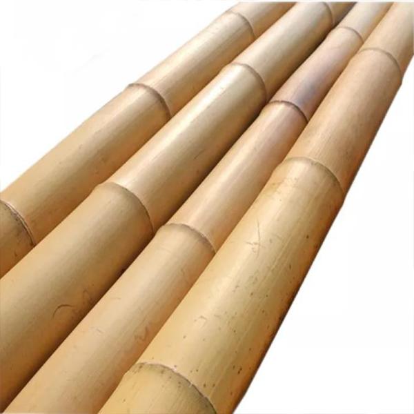 Strong Bamboo Pole Perfect for DIY Projects , Supports and Decor