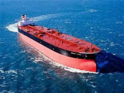 NVOCC WCA Shanghai Customs Clearance With Cargo Inspection