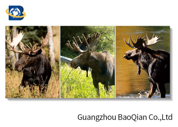 Wall Art Stretched Picture Of Wild Animal Black Bear / Deer For Bedroom Decoration