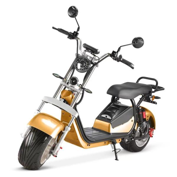 Experience the Freedom of Our 1500W E-Motorcycles for Adults Customizable