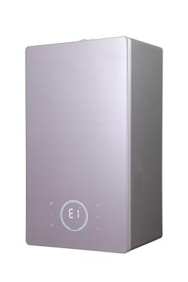 Professional Manufacturer Wholesale Custom Digital Temperature Control Gas Water Heater