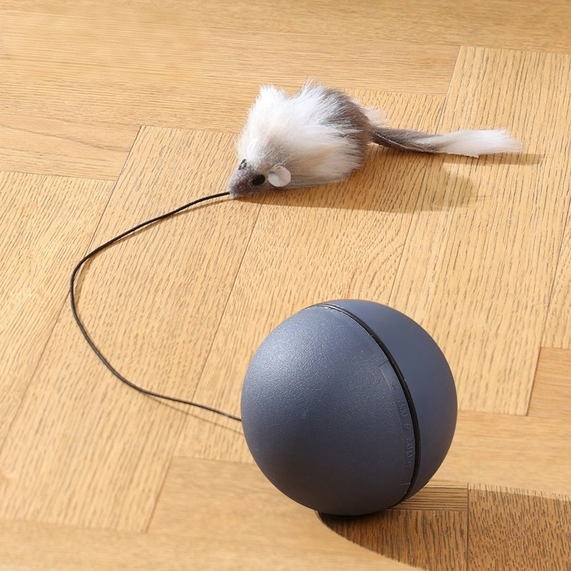Hypoallergenic Force-Free Training Agility Training Pet Anxiety Relief