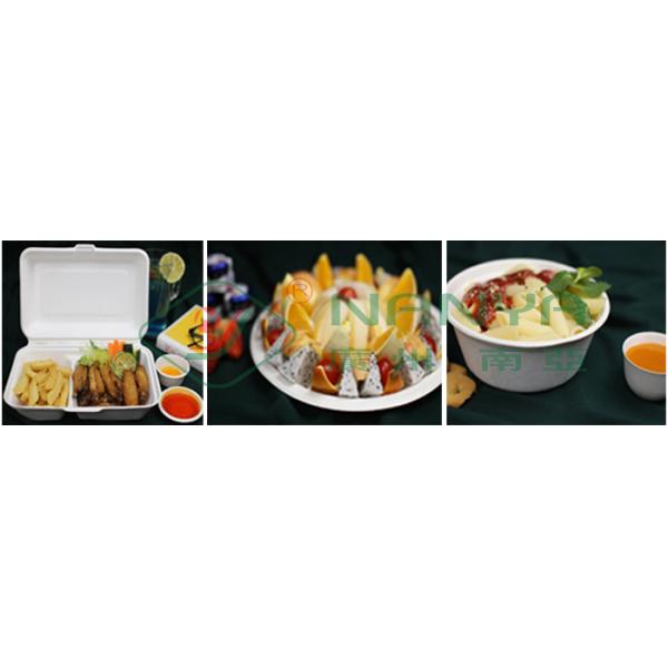 Paper Pulp Molding Equipment Molded Bagasse Fiber Lunch Box Machine