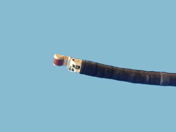 GF-UCT260 Endoscopic Ultrasound (EUS) Ultrasonic Videoscope