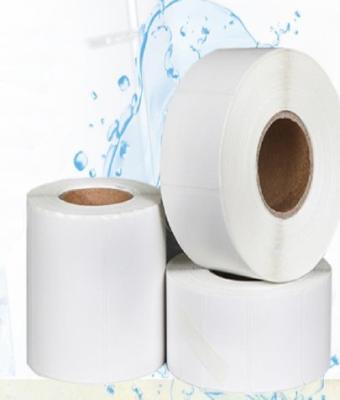 Catering Thermal Receipt Paper Rolls Self Adhesive Thermal Cash Register Paper Waterproof