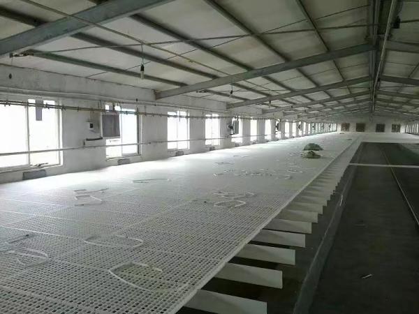 Piso de grelha de cozinha, um piso que vaza esterco de frango através da grade