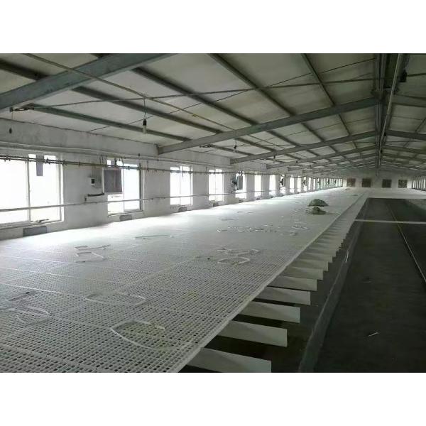 Предкрылки облегченного пола птичника цыпленка пластиковые для птичников