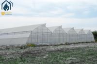 Invernadero moderno agrícola tropical multi-tramos de fácil instalación y bajo mantenimiento
