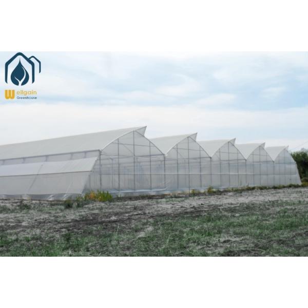 Modern Agricultural Greenhouses Galvanized Steel Tropical Greenhouse
