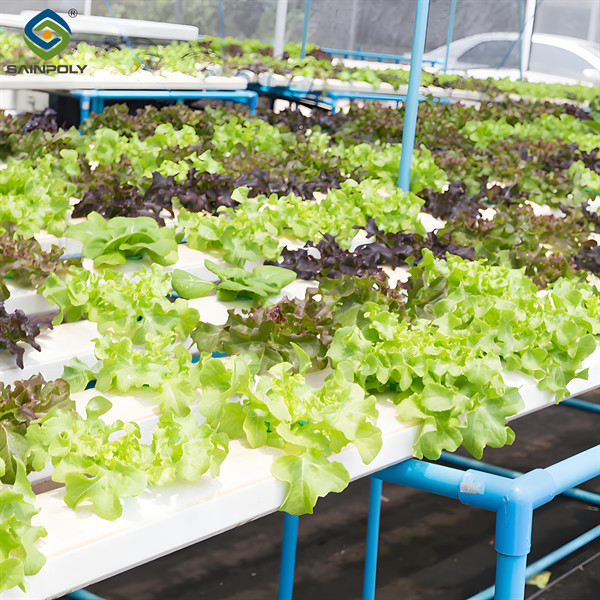 ISO Certification Commercial Hydroponic Greenhouse For Agriculture Anti Corrosion