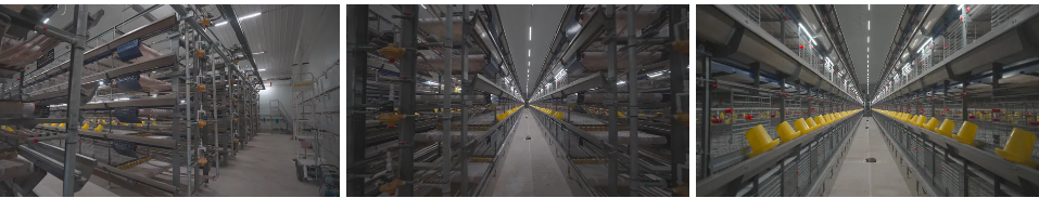 Hot DIP Galvanized 3-Tier Stacked H-Type Poultry System with Excellent Ventilation for Brooder Cage