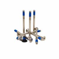Résistance à l' écoulement Hexagone Screw Plum Blossom Dispensing Screw Blocage boulon