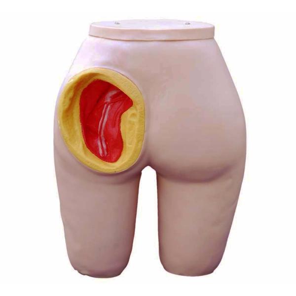Human Life Size Gluteus Intramuscular Injection Training Model for Patients Care Demo