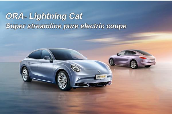 4871x1862x1500 Dimension Fast Charging ORA Lightning Cat 555km Endurance 2023 Electric Vehicle for Women