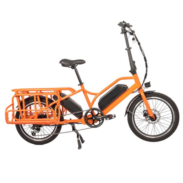 Family E-cargo Electric Bike with 20