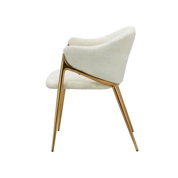 рамка SS золота 0.2m3 обедая стулья для гостиной