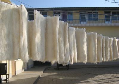 Tibetan lambswool rug Long hair Sheepskin Dyed Mongolian lamb fur plate rug carpet