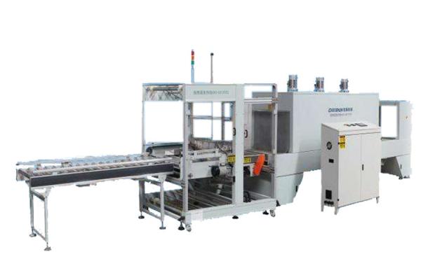 Fully Automatic Carton Box Case Packer Cardboard Beverage Pet Bottle Packaging