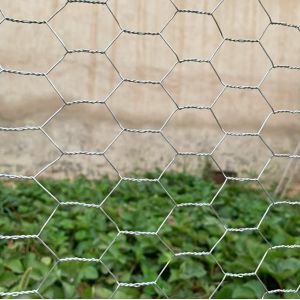 Hexagonal Wire Mesh