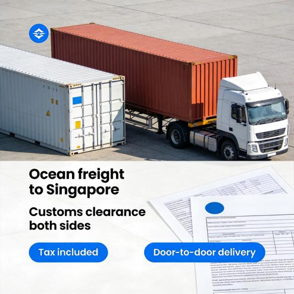 Sea freight to SG: efficient export import clearance, tax included, door - to - door